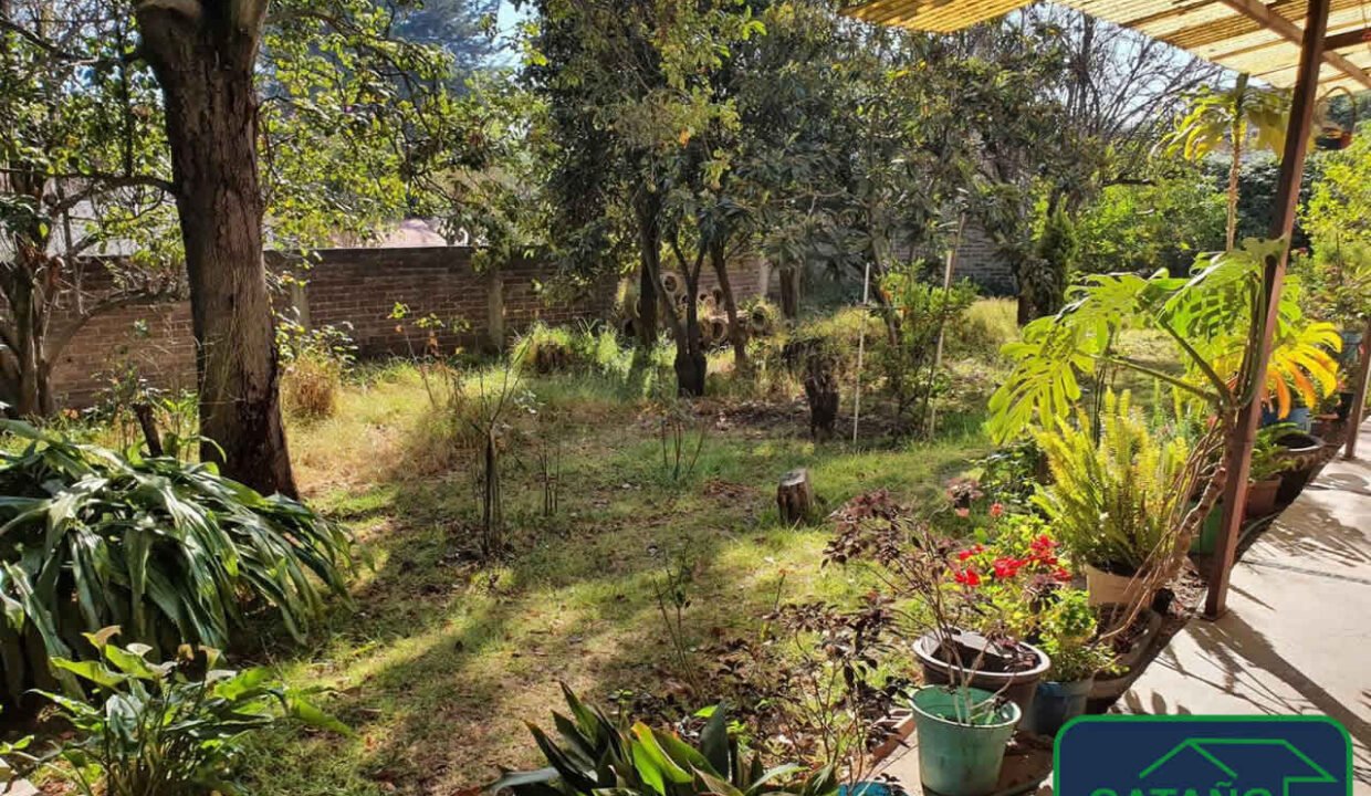 4569514-Benito-6