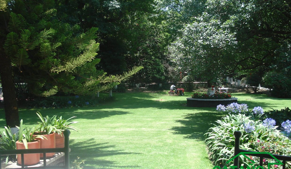 396301-Boulevard-dela luz-5