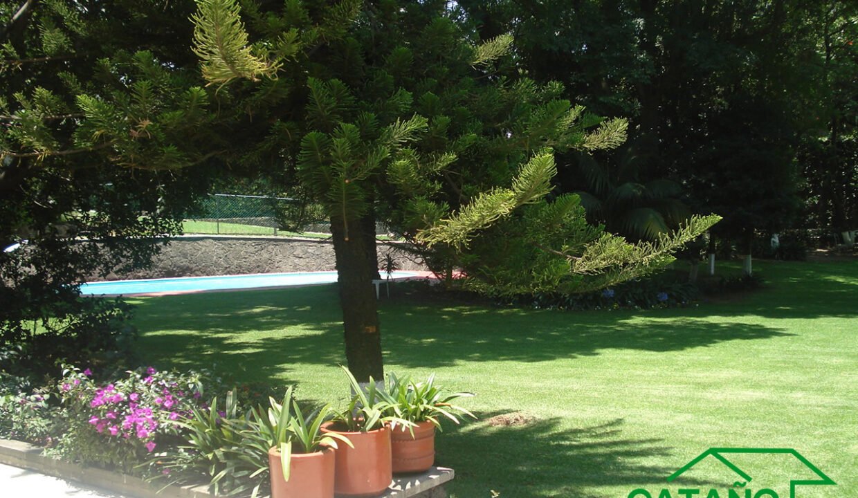 396301-Boulevard-dela luz-6