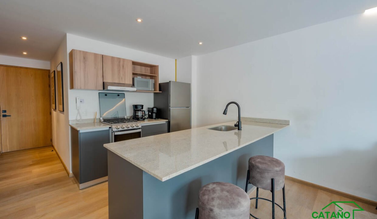 4366452-departamento-habitasanangel-adolfolopezmateos-alpes-venta-catanobienesraices-11