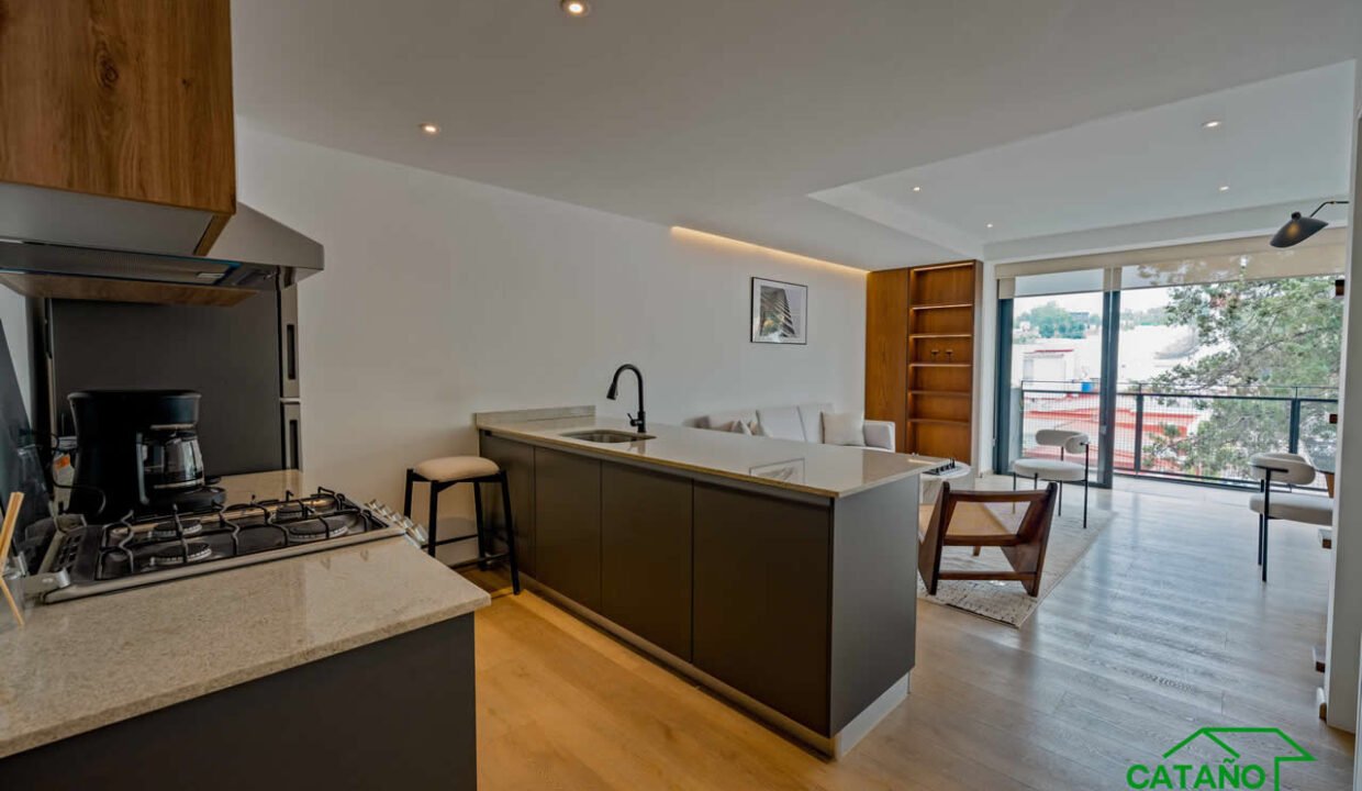 4366452-departamento-habitasanangel-adolfolopezmateos-alpes-venta-catanobienesraices-12