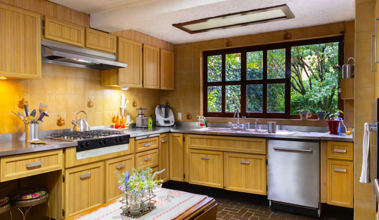 4547711-Nasuncion-17