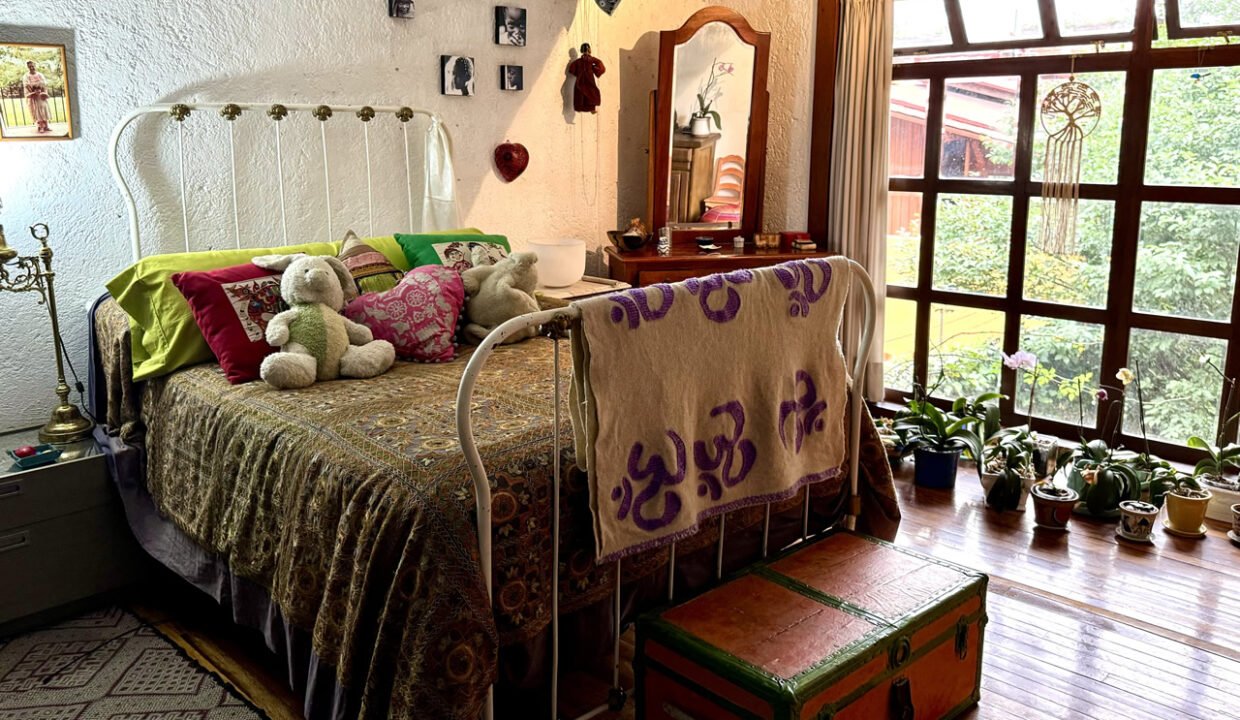 4547711-Nasuncion-24