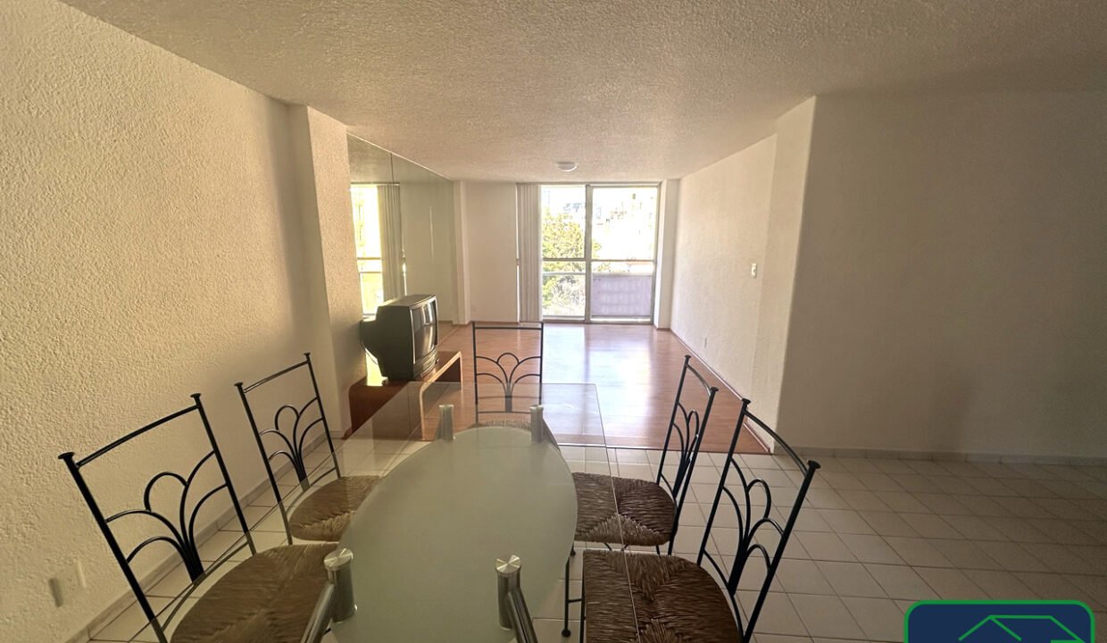 457216-Prieto-5