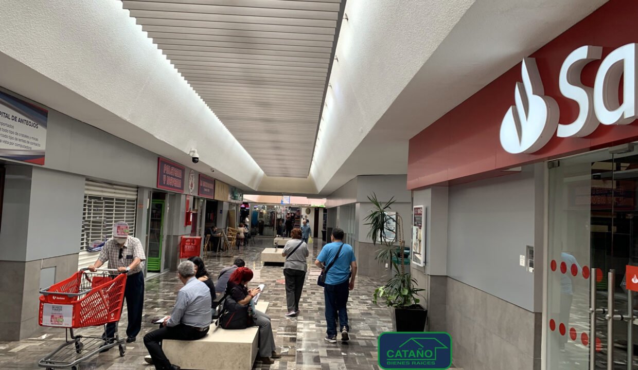Miramontes-4