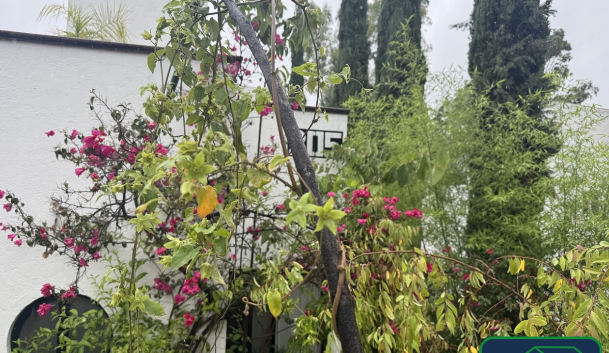 4588817-casa-chapulines-clubdegolftequisquiapanqueretaro-venta-catanobienesraices-3