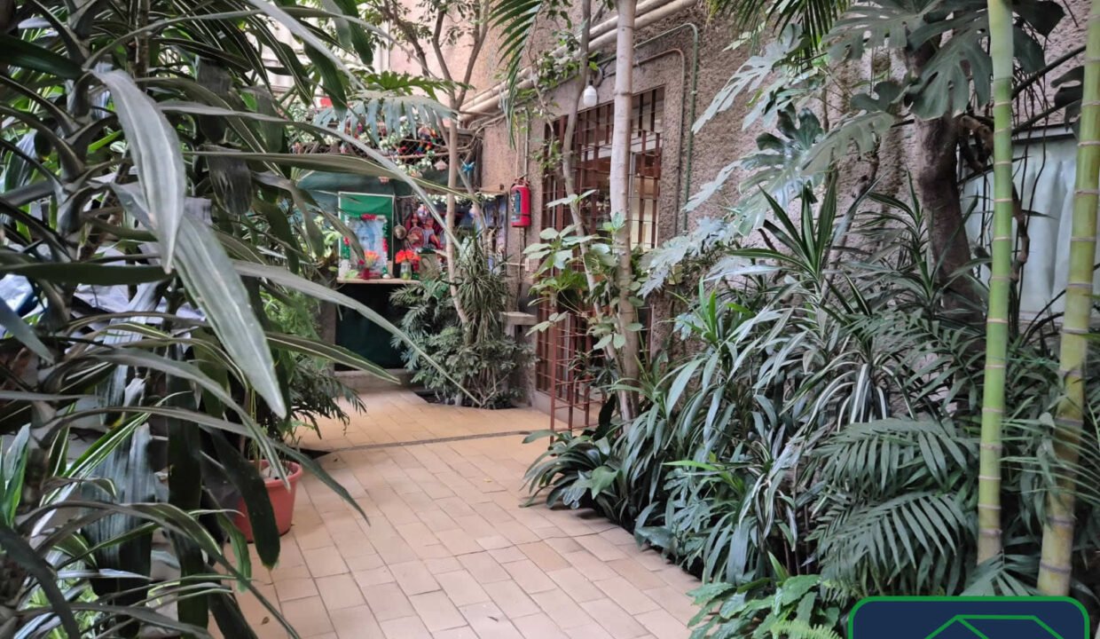 4595121-terreno-dieciseisdeseptiembre-sanfranciscoculhuacan-venta-catanobienesraices-4