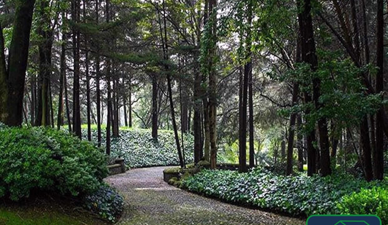 4597410-departamento-desiertodelosleones-olivardelospadres-ventayrenta-catanobienesraices-18