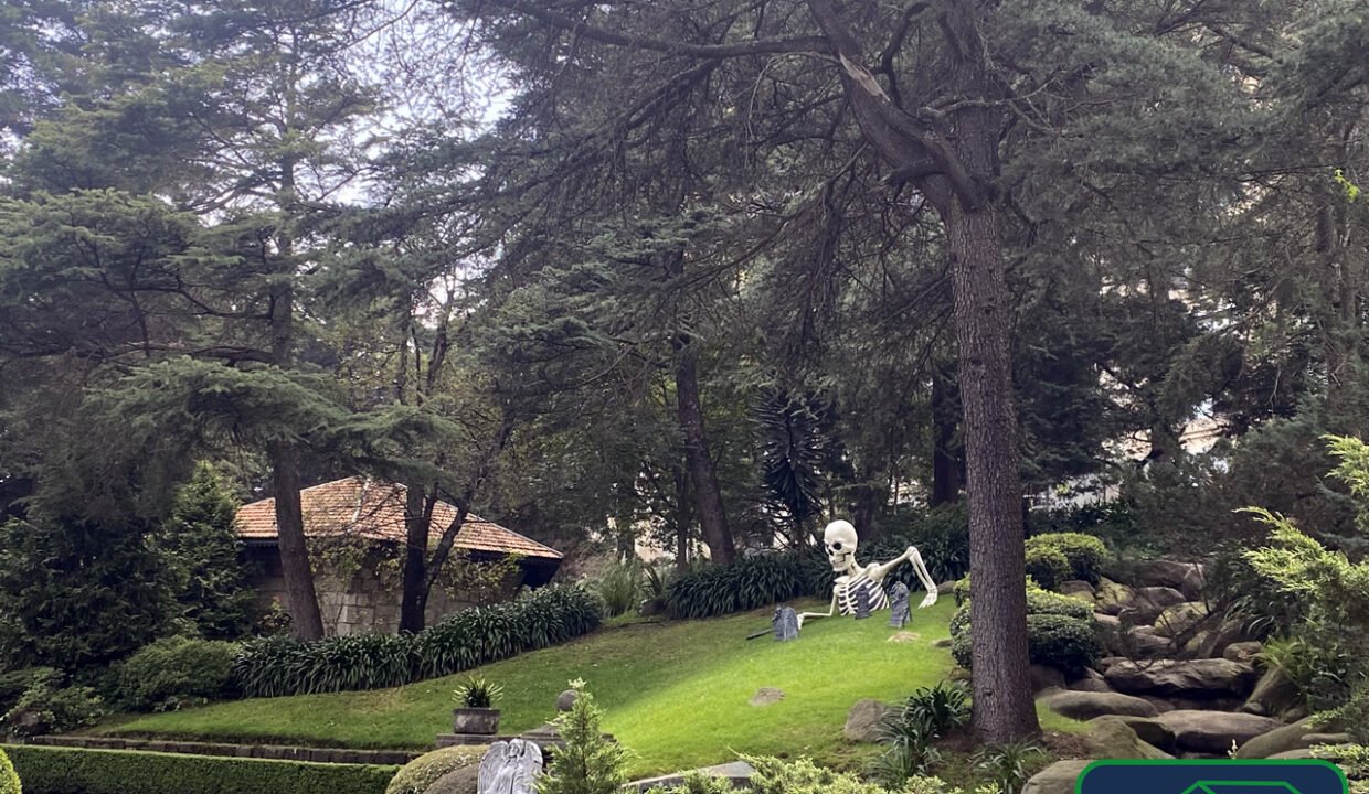 4597410-departamento-desiertodelosleones-olivardelospadres-ventayrenta-catanobienesraices-19