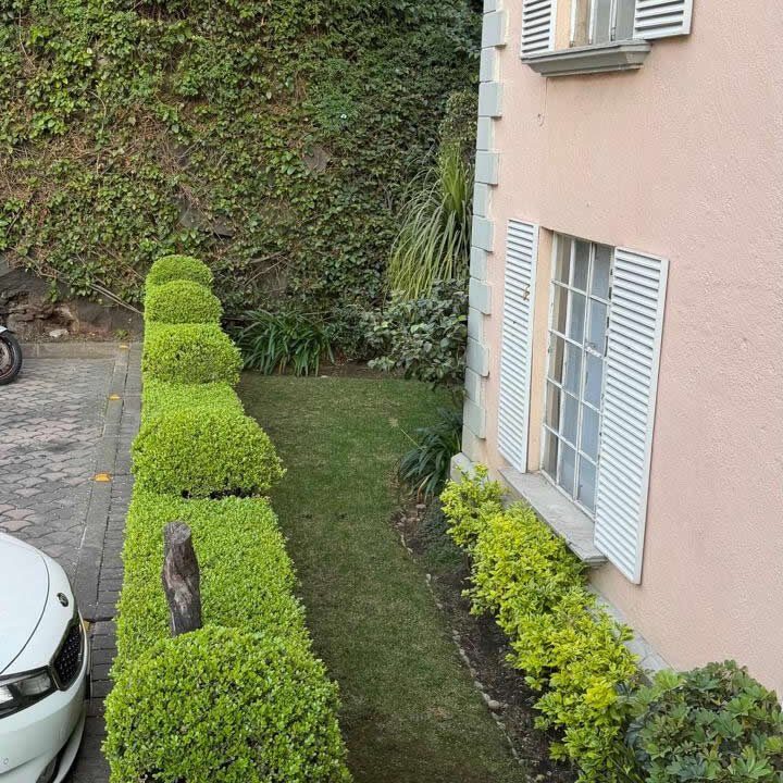 460281-departamento-perifericosur-pedregaldecarrasco-venta-catanobienesraices-4