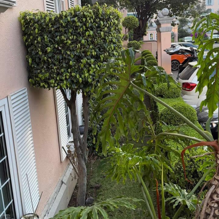 460281-departamento-perifericosur-pedregaldecarrasco-venta-catanobienesraices-5