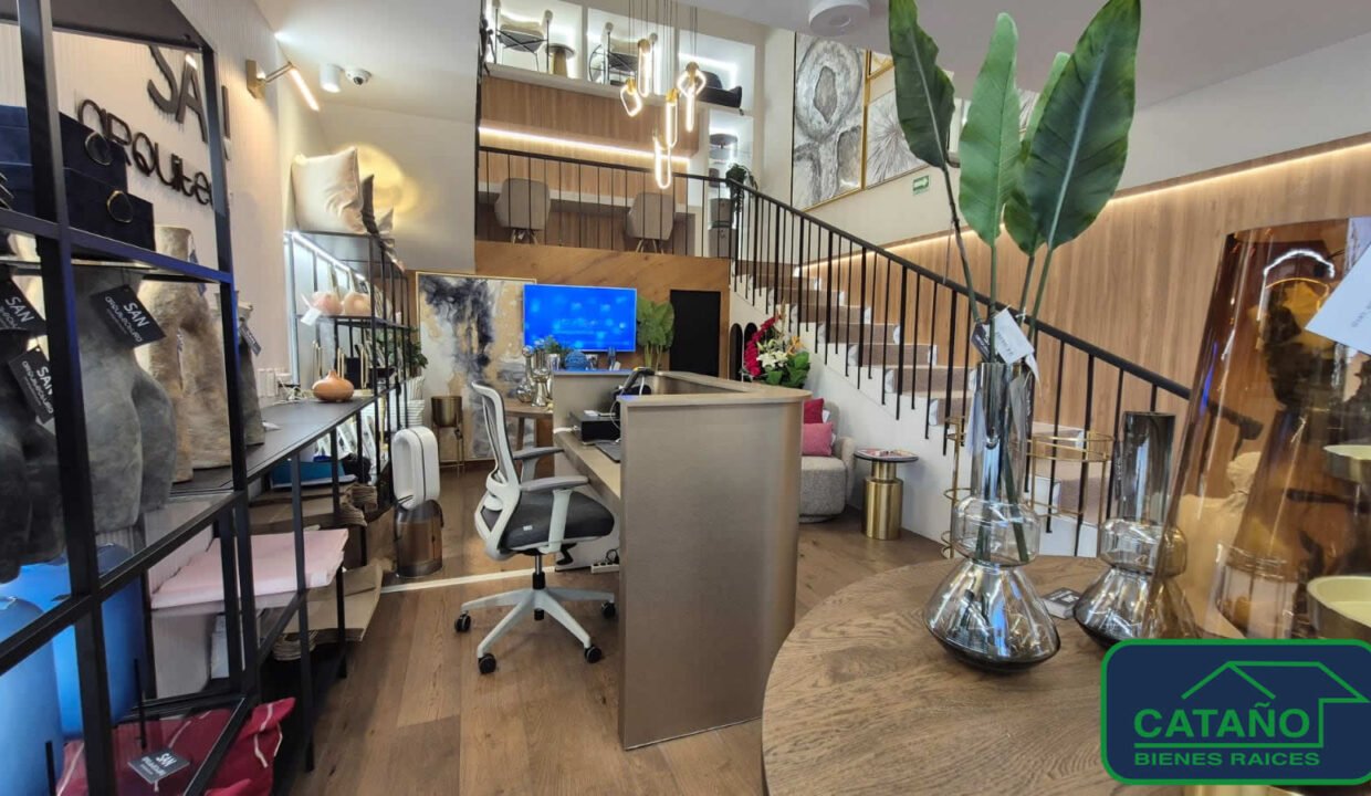 460305-local-adolforuizcortinez-jardinesdelpedregal-venta-catanobienesraices-2