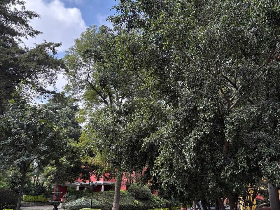 4604833-casaencondominio-allende-tlalpancentro-venta-catanobienesraices--25