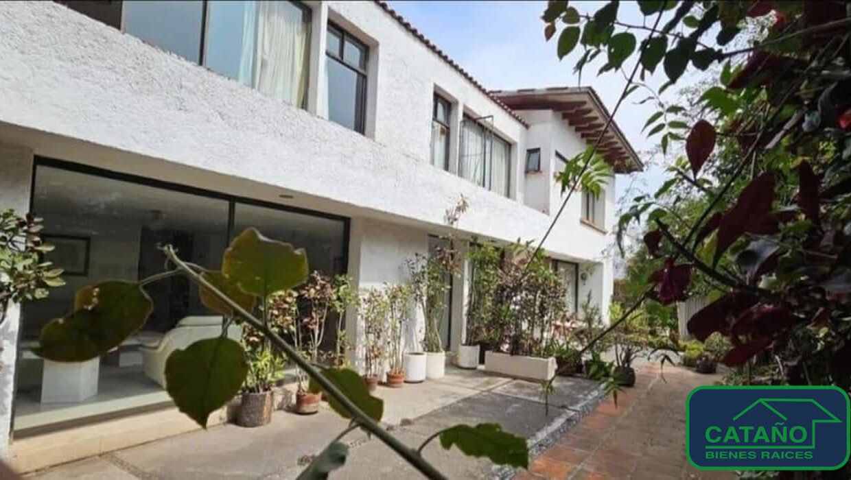 4609820-terreno-avsanfrancisco-barriosanfrancisco-venta-catanobienesraices-16