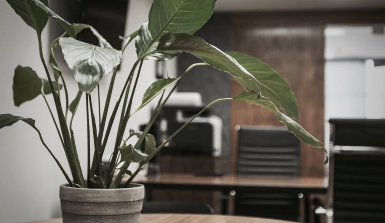 461276-oficina-avinsurgentessur-hipodromocondesa-renta-catanobienesraices-7