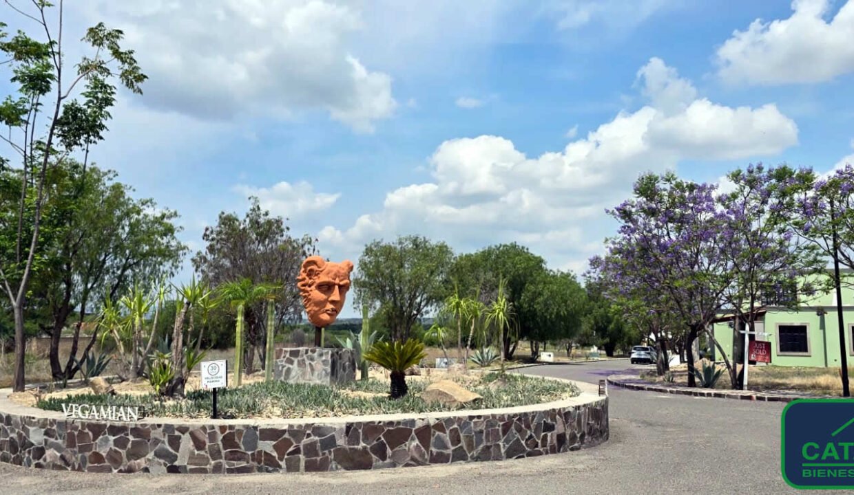 4613215-terreno-viejocaminoantiguo-sanmigueldeallende-guanajuato-venta-catanobienesraices-8