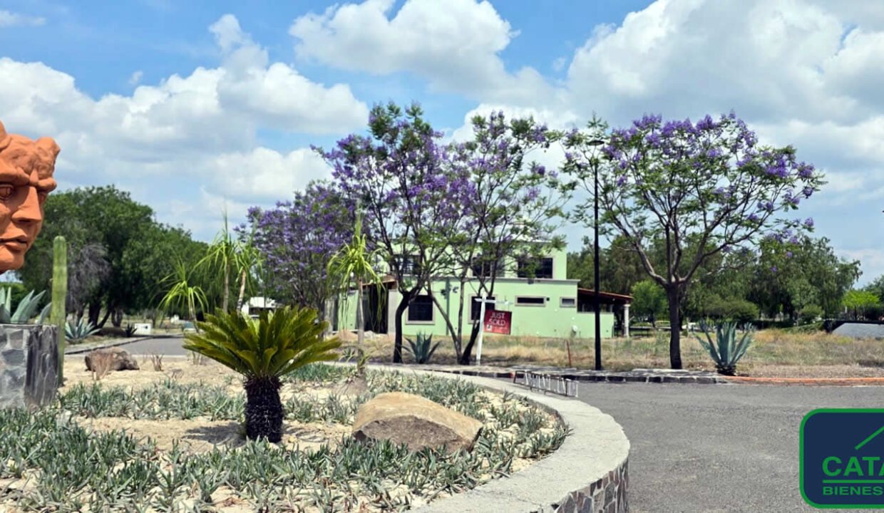 4613215-terreno-viejocaminoantiguo-sanmigueldeallende-guanajuato-venta-catanobienesraices-9