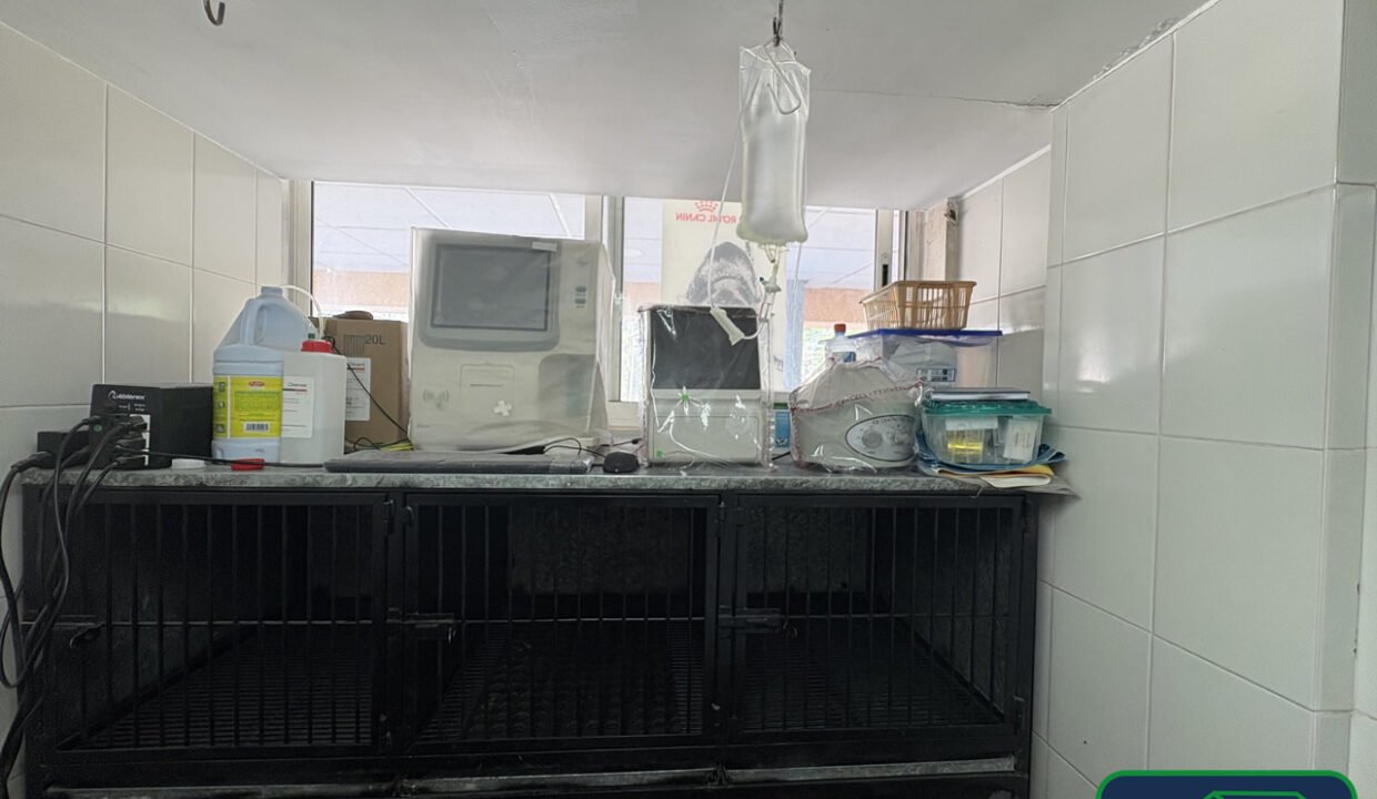 4613418-local-jardinesdesanmateo-avalcanfores-venta-catanobienesraices-9