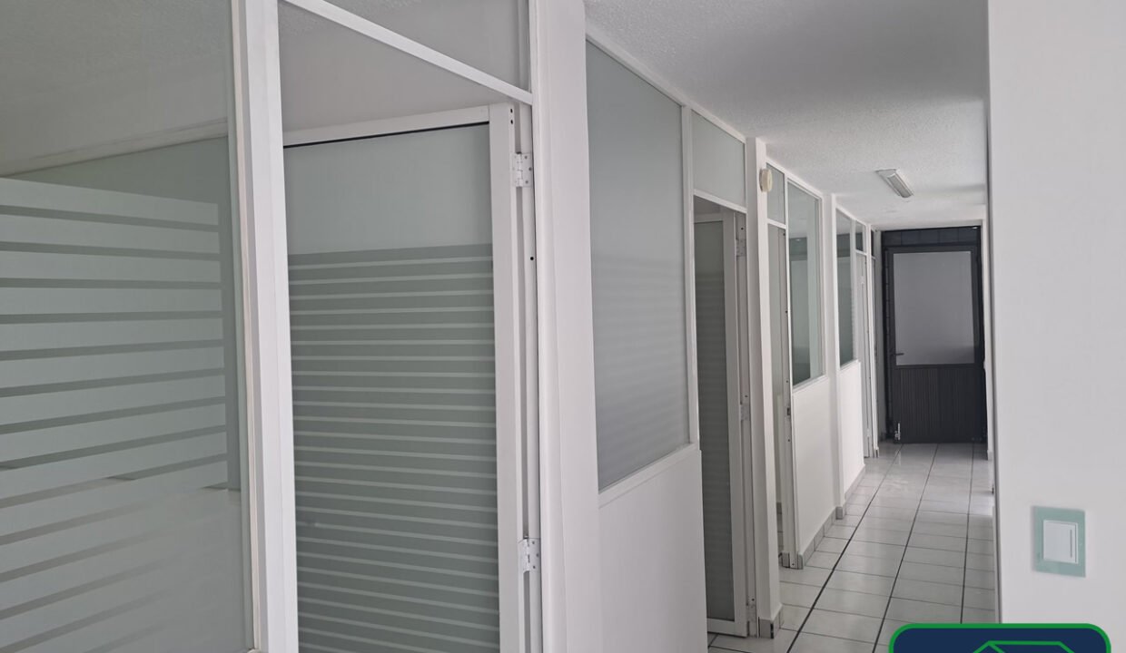 461744-oficinas-amores-delvalle-renta-catanobienesraices-14