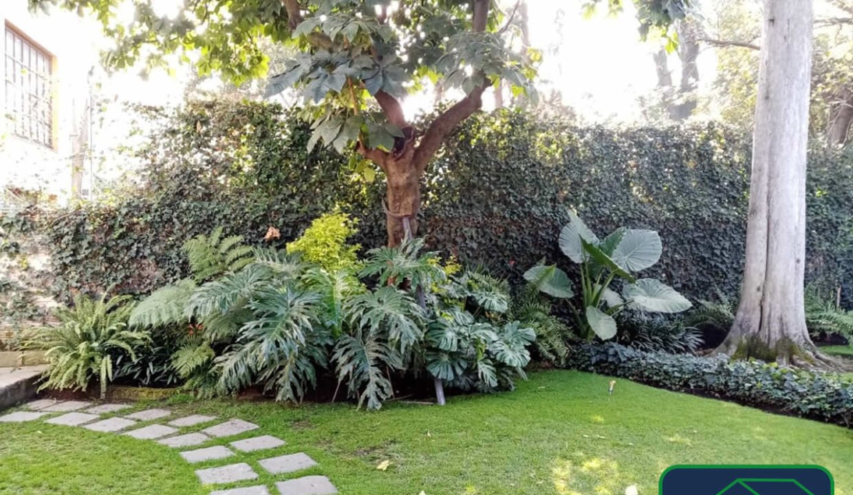 461777-casa-franciscososa-santacatarina-venta-catanobienesraices-2