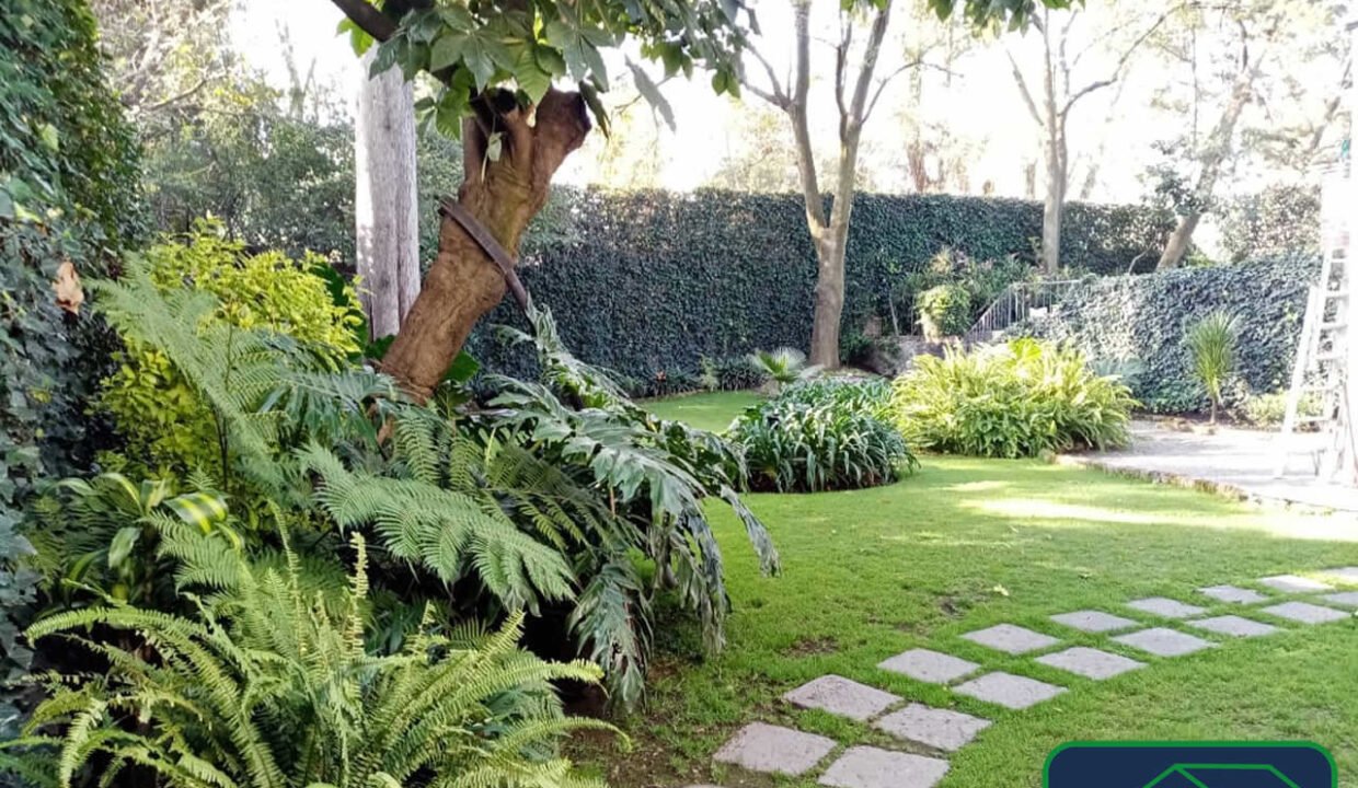 461777-casa-franciscososa-santacatarina-venta-catanobienesraices-3