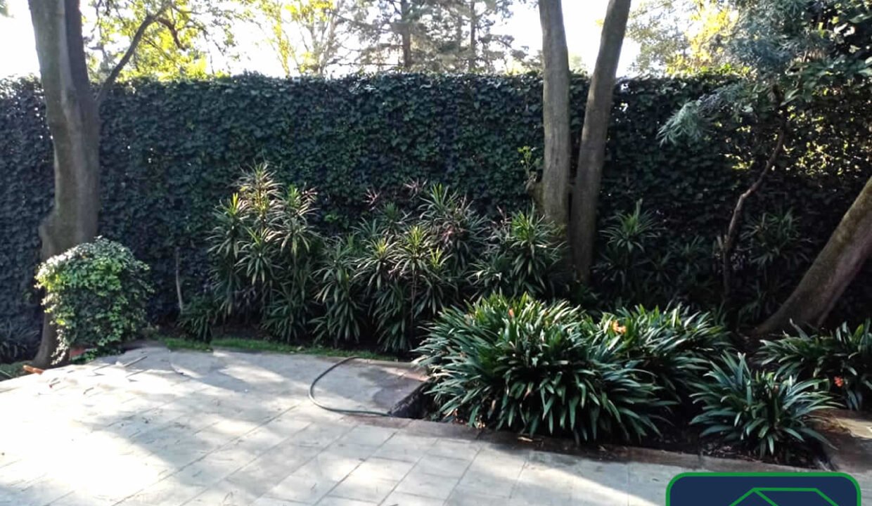 461777-casa-franciscososa-santacatarina-venta-catanobienesraices-6