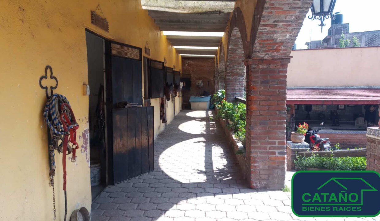 4618319-terreno-pedromoreno-santotomasajusco-venta-catanobienesraices-9
