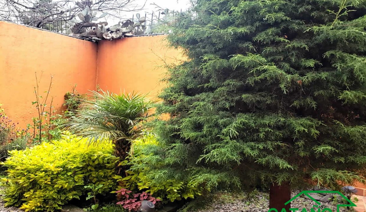 4622520-casa-cedral-sanandrestotoltepec-venta-catanobienesraices-5