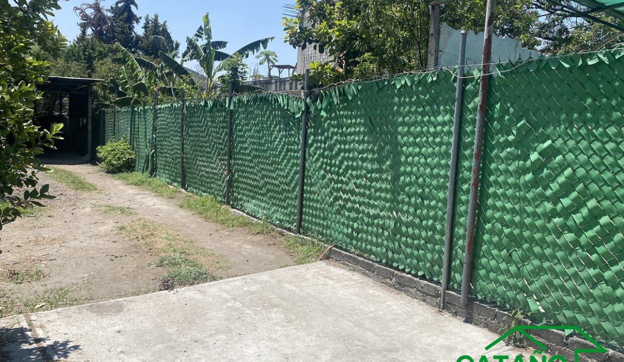 462392-terreno-venados-tlahuac-olivos-venta-catanobienesraices-