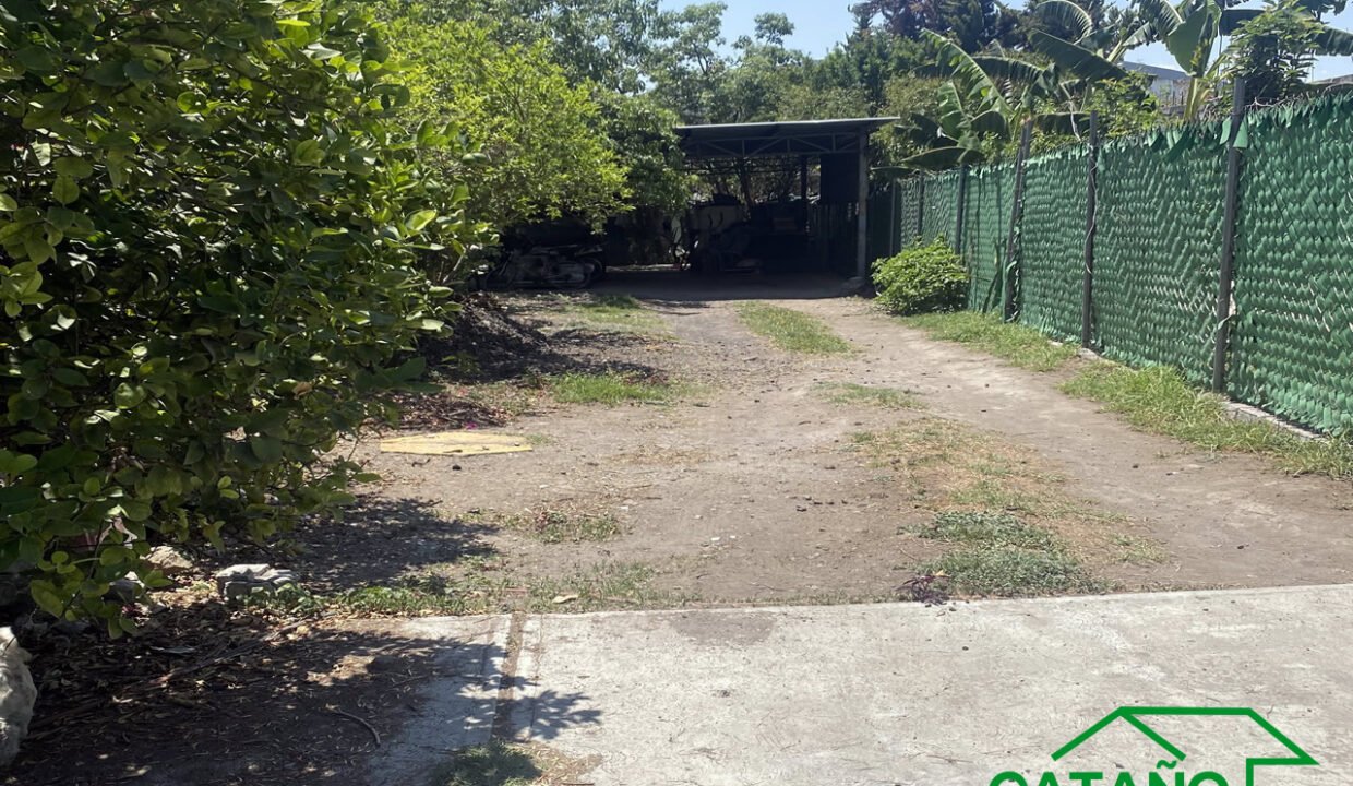 462392-terreno-venados-tlahuac-olivos-venta-catanobienesraices-2