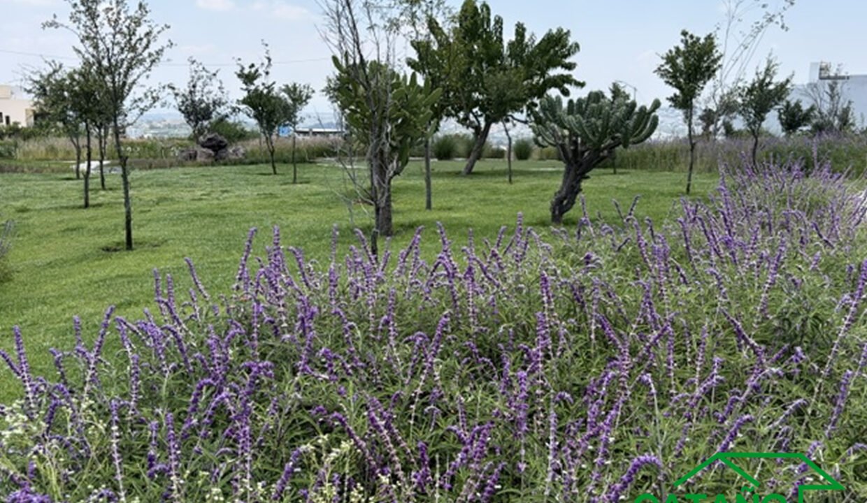 462689-terreno-sayab-juriquilla-queretaro-venta-catanobienesraices-13